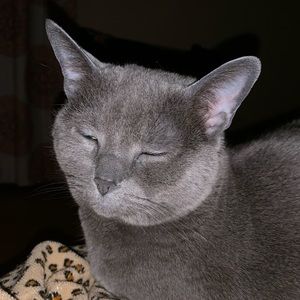 Meet your Posher, Michele